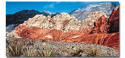 stv Nevada