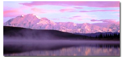 stv alaska