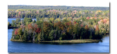 stv Michigan