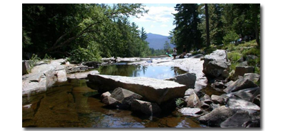 stv New Hampshire