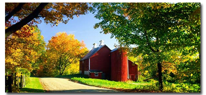 stv Vermont