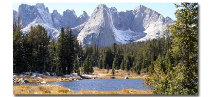stv Wyoming